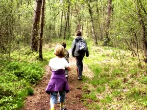Waldwanderung mit Kindern